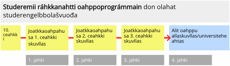 Illustrasjon av strukturkart studieforberedende